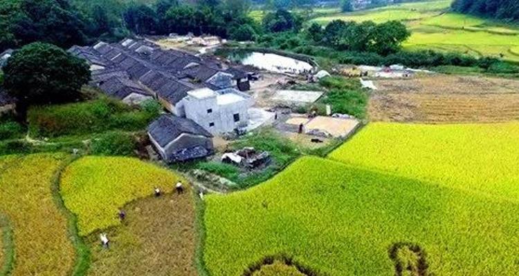 让老电站焕发“新智慧”：MRD子午线助力那吉水电厂监控改造