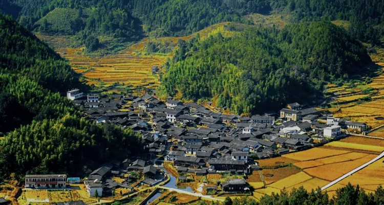 山区电网的“神经升级”：MRD子午线助力三明10kV通信接入网升级
